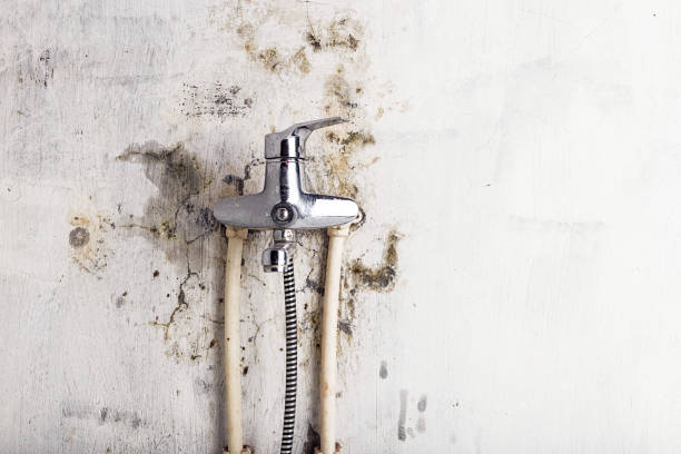 Best Water Damage Restoration  in Painted Post, NY
