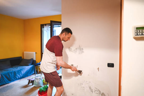 Best Crawl Space Mold Removal  in Painted Post, NY